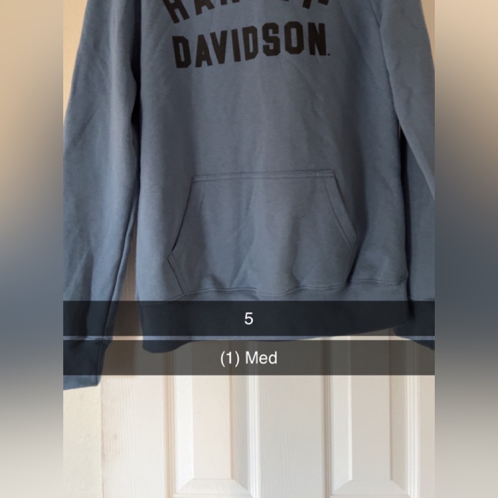 BNWT Harley Davidson Hoodie
